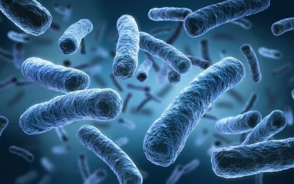 Microbes et virus dans le corps humain