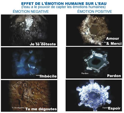 La nature de l’eau conserve l’info et irrigue le corps selon Masaru Emoto