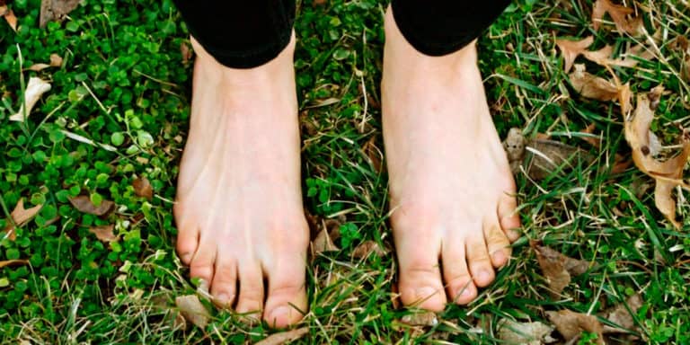 La Connexion à la Terre : Un Principe Vital 44 La Connexion à la Terre : Un Principe Vital