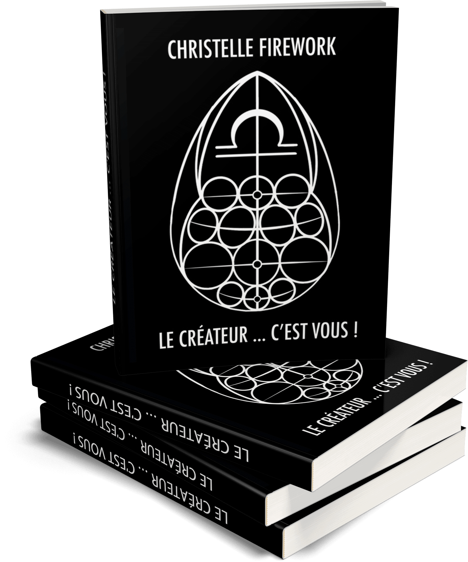 Le Créateur... C'est Vous! | Livre Broché | Christelle Firework