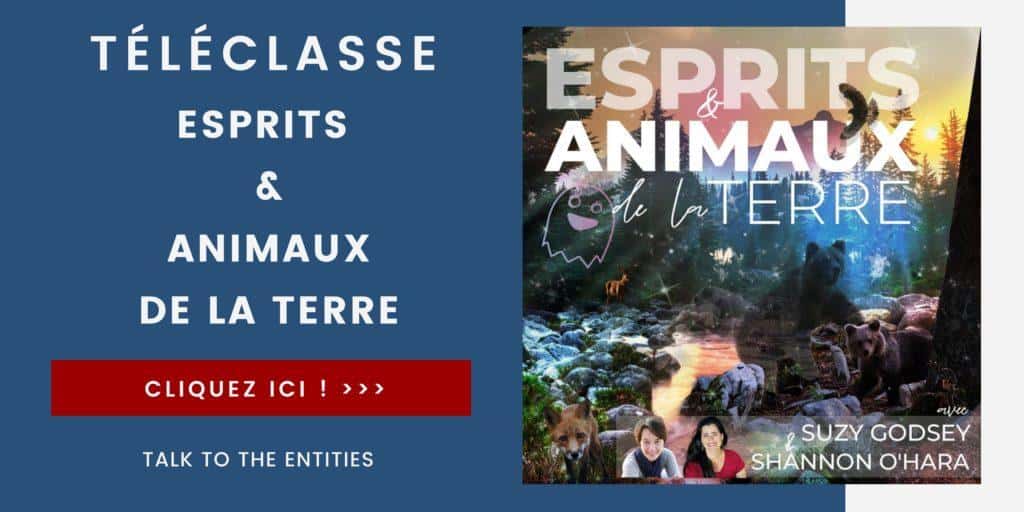 La téléclasse Esprits et animaux de la Terre