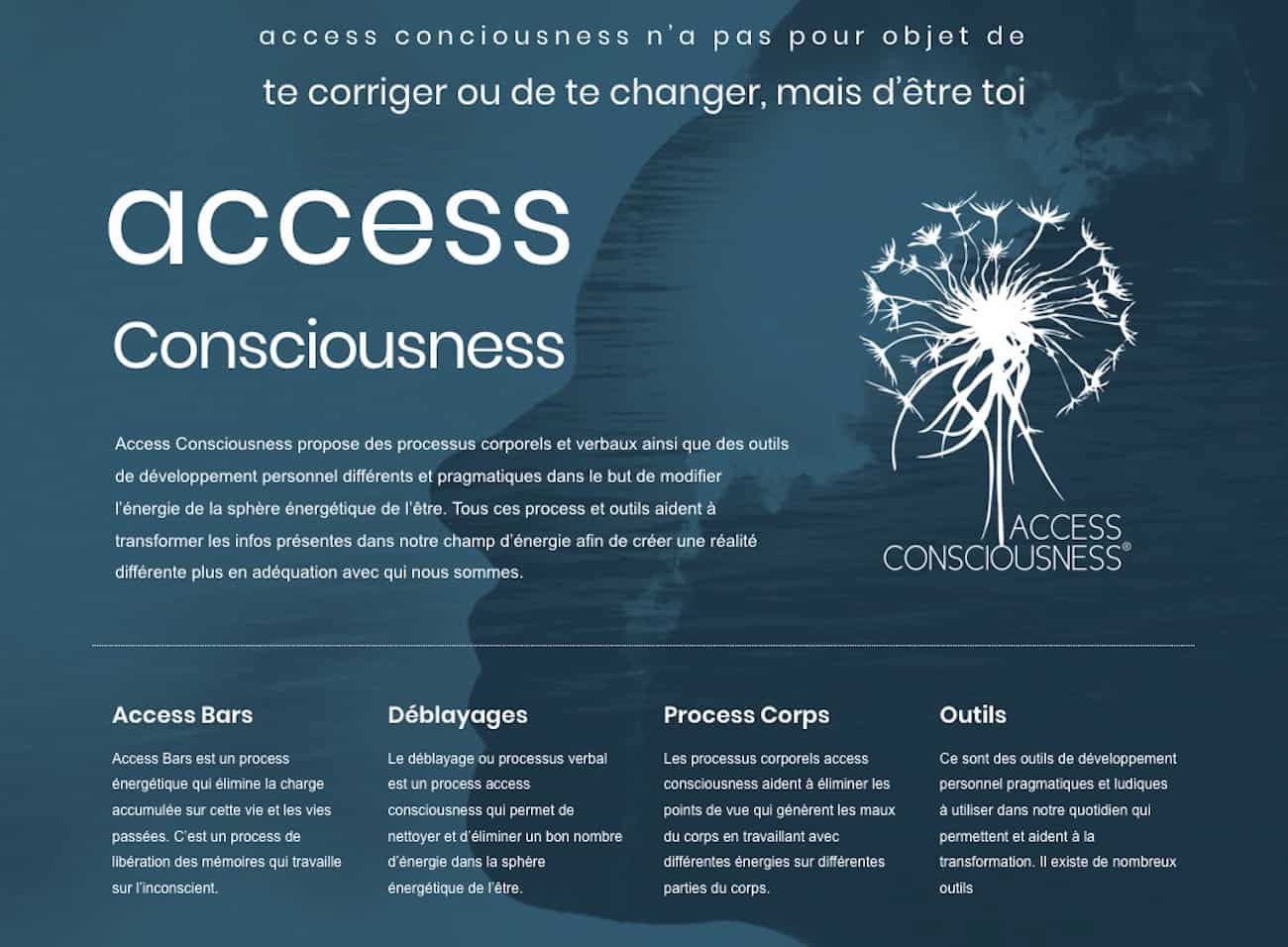 Access consciousness