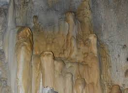 La présence de Marie