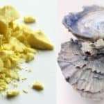 Hepar sulph (Hepar sulphuris calcareum)