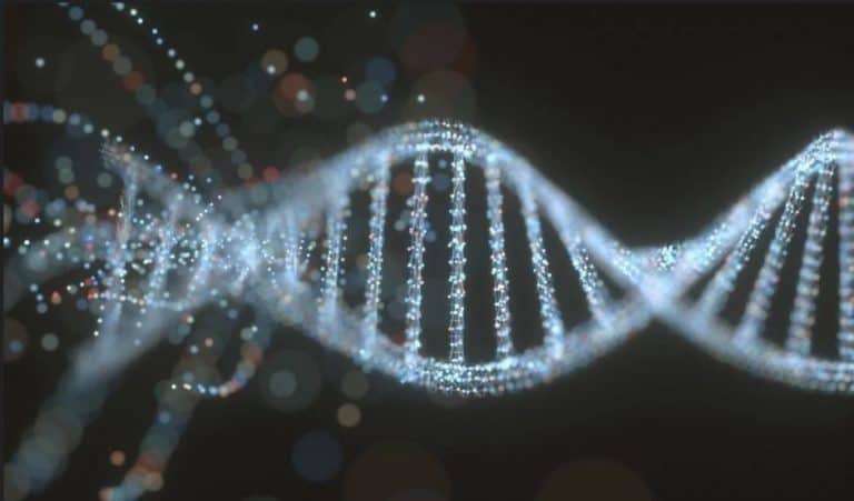 L'ADN communique dans l'univers 5 ADN communique dans l'univers