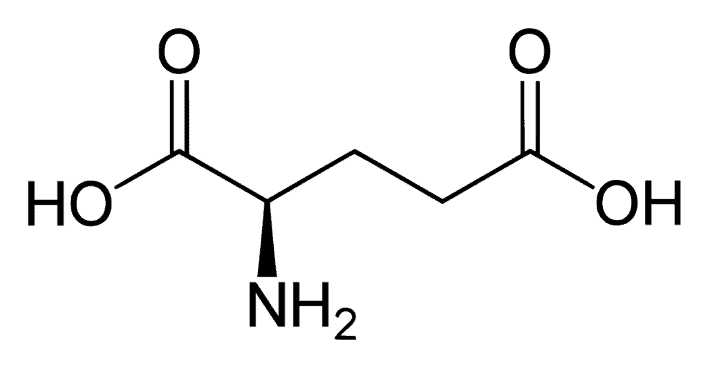 Acide glutamique