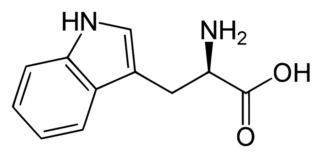Tryptophane
