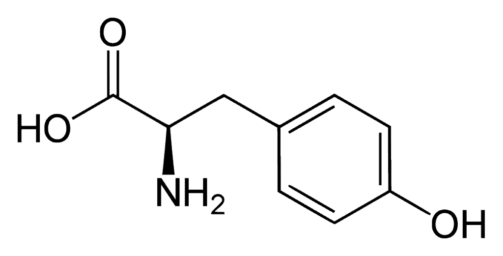 Tyrosine acides aminés