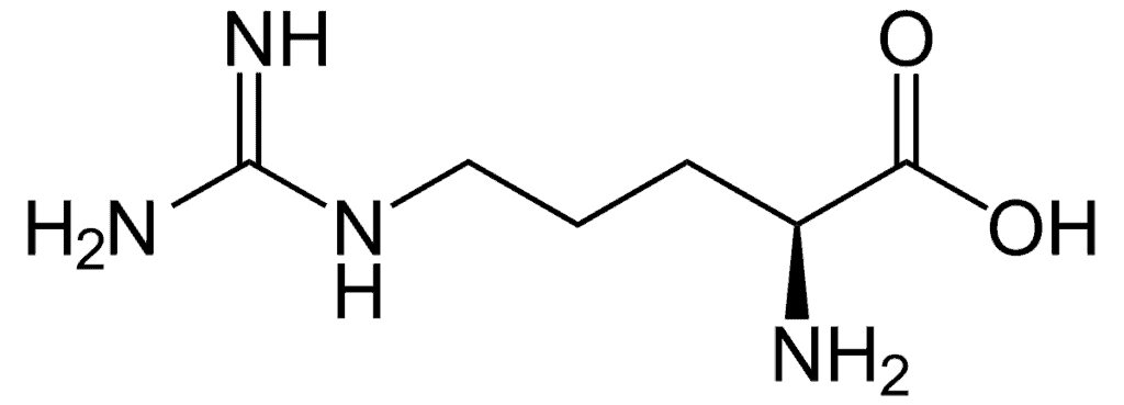 Arginine acides aminés