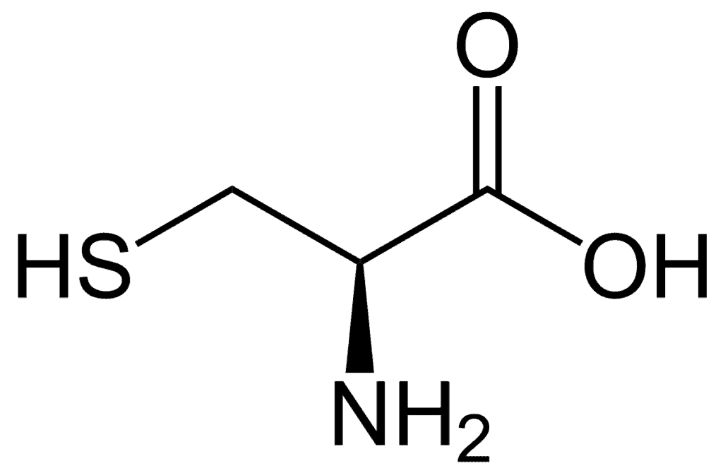 Cysteine acides aminés