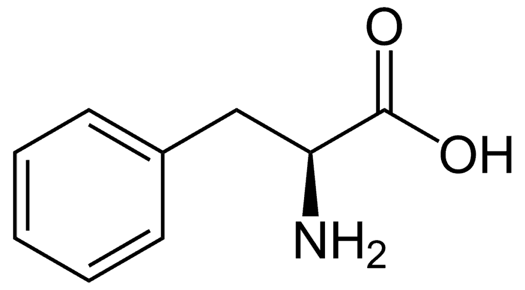 phénylalanine