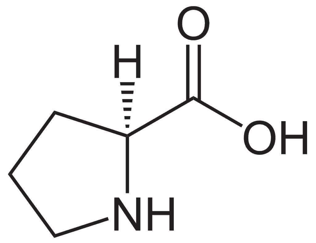 Proline acides aminés