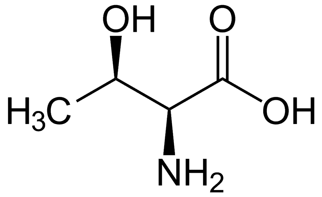 thréonine