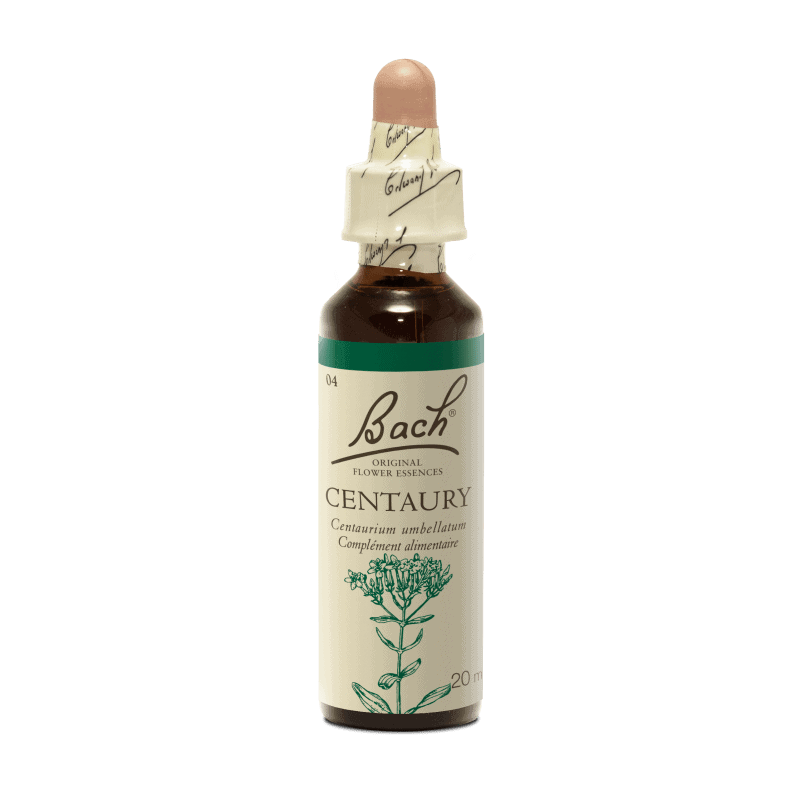 Centaury – petite centaurée