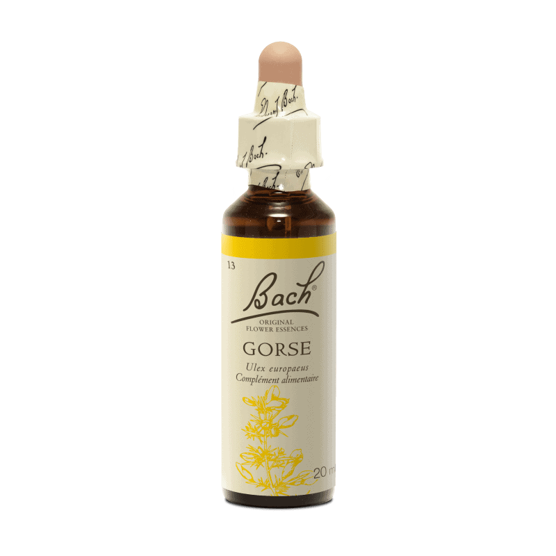 Gorse – Ajonc Fleurs de Bach