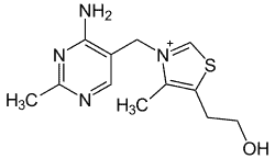 Vitamine B1 - Thiamine