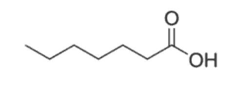 Acide heptanoïque