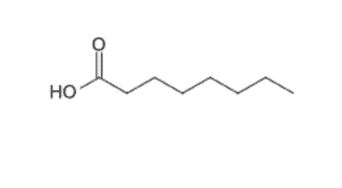 Acide octanoïque