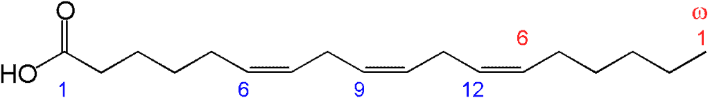 Acide Gamma linolénique