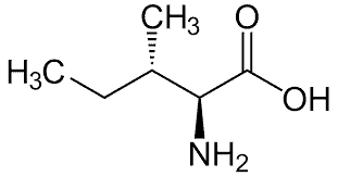 isoleucine