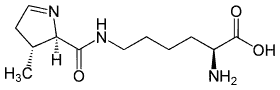 Pyrrolysine
