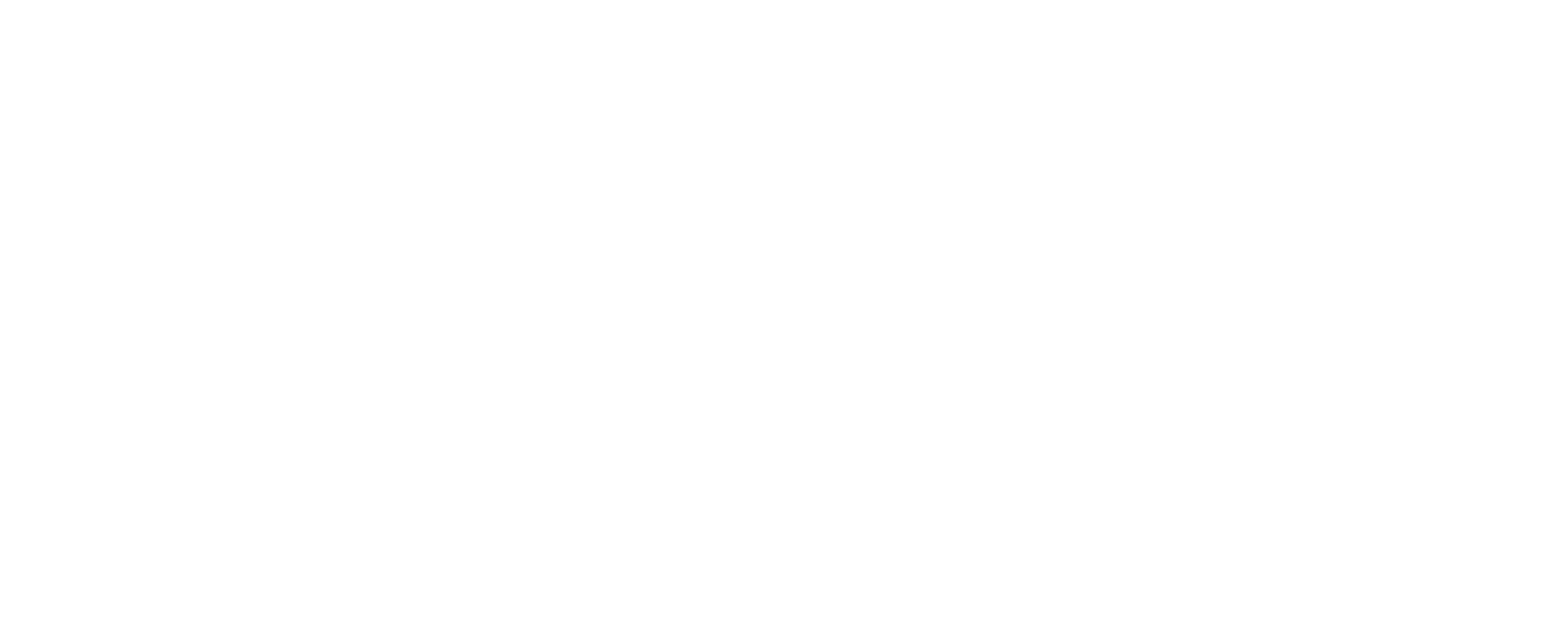 Christelle Firework logo