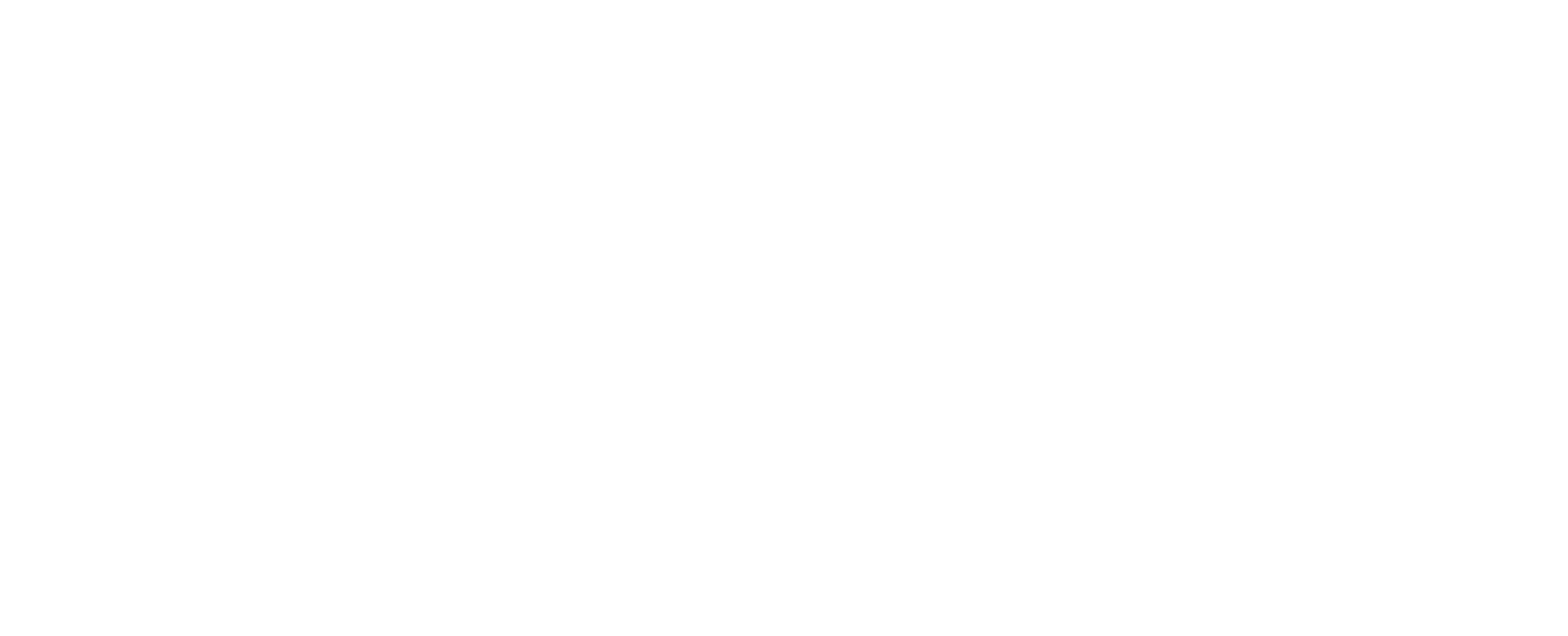 Christelle Firework logo
