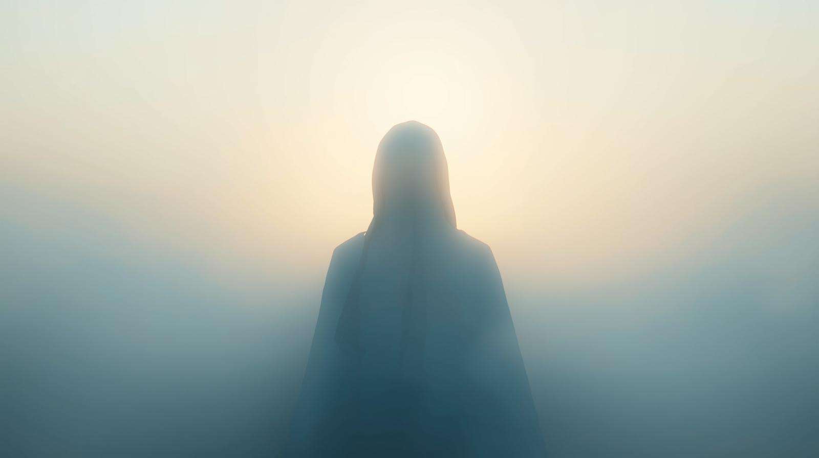 Gestion Entités Subtiles : Le Guide Complet pour Comprendre, Coexister et Maîtriser la Souveraineté de Votre Espace Énergétique 3 L'Échange Énergétique