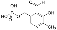 Vitamine B6 - Pyridoxine