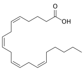 Acide arachidonique Acide arachidonique