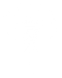 Logo access bars access consciousness